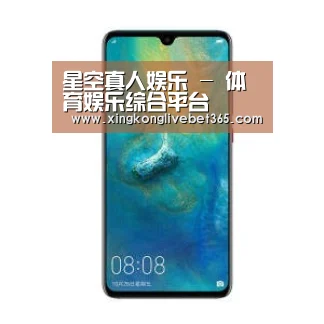 华为无线快充手机