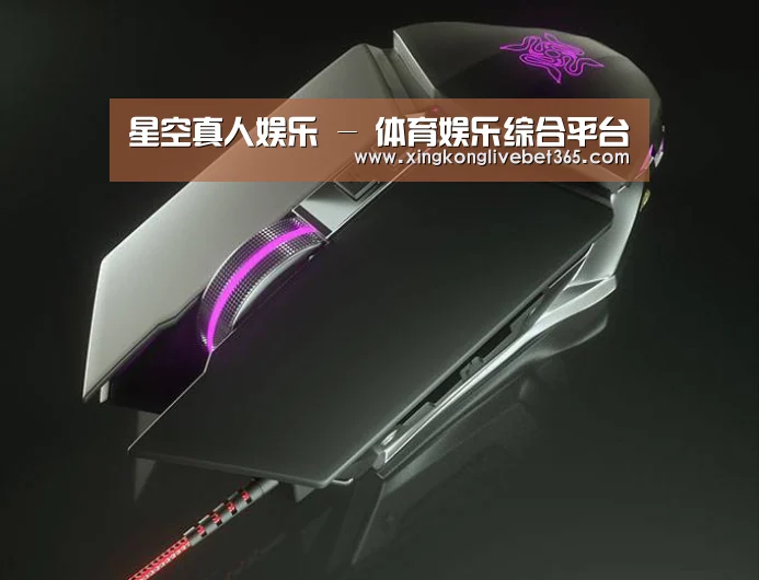 鼠标封面设计