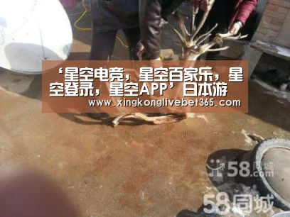 星空电竞，星空百家乐，星空登录，星空APP