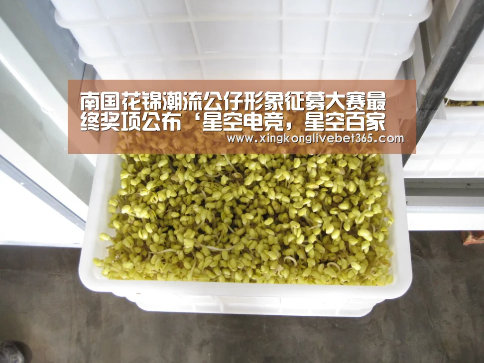 星空电竞，星空百家乐，星空登录，星空APP