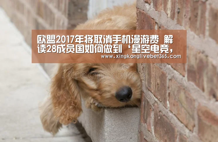 星空电竞，星空百家乐，星空登录，星空APP