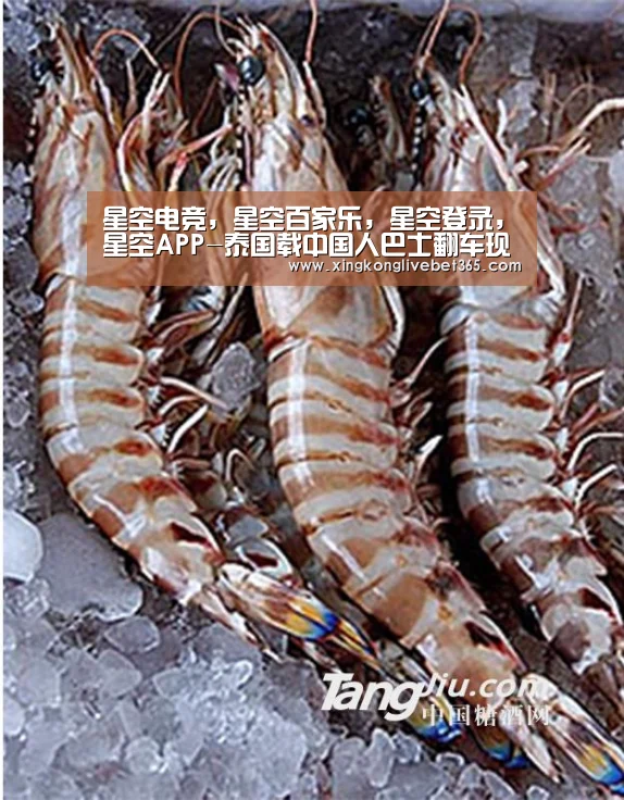 星空电竞,星空百家乐,星空登录,星空APP-泰国载中国人巴士翻车现场图片 正在实施救援(图1) 星空电竞,星空百家乐,星空登录,星空APP