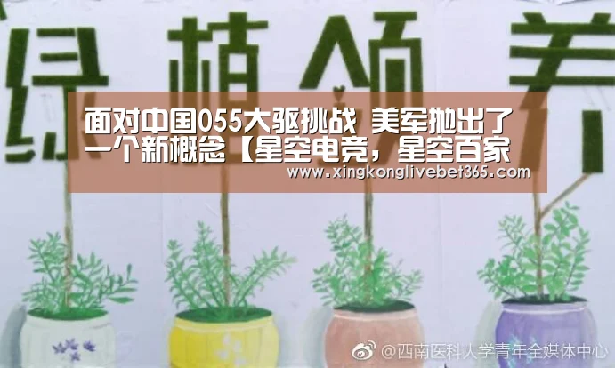 面对中国055大驱挑战 美军抛出了一个新概念【星空电竞,星空百家乐,星空登录,星空APP】(图2) 星空电竞,星空百家乐,星空登录,星空APP